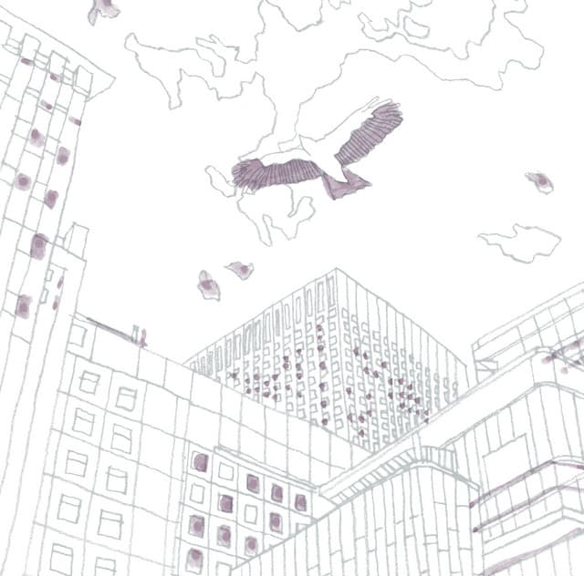 鵬翼（except．雨のオーケストラ，ココロノナイマチ）