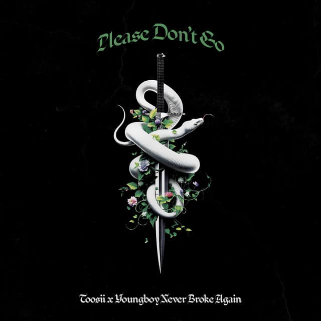 Please Don’t Go (feat. YoungBoy Never Broke Again)