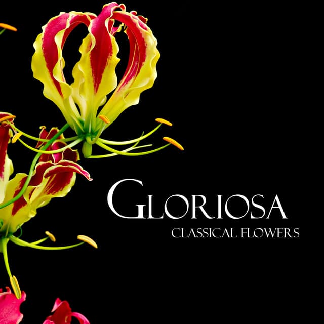 "Gloriosa": Classical Flowers